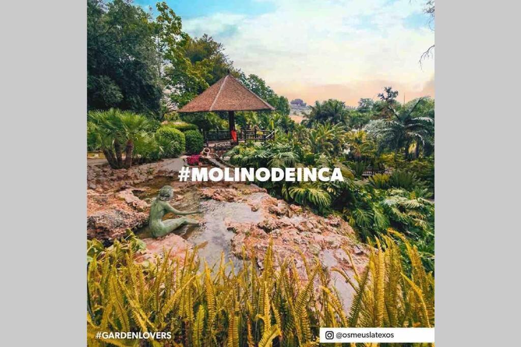 Begonia Studio 119 Torremolinos Esterno foto